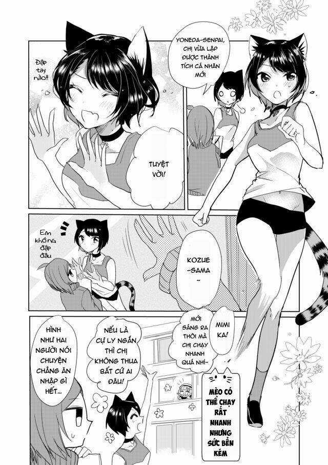 Catulus Syndrome Chapter 17 trang 4