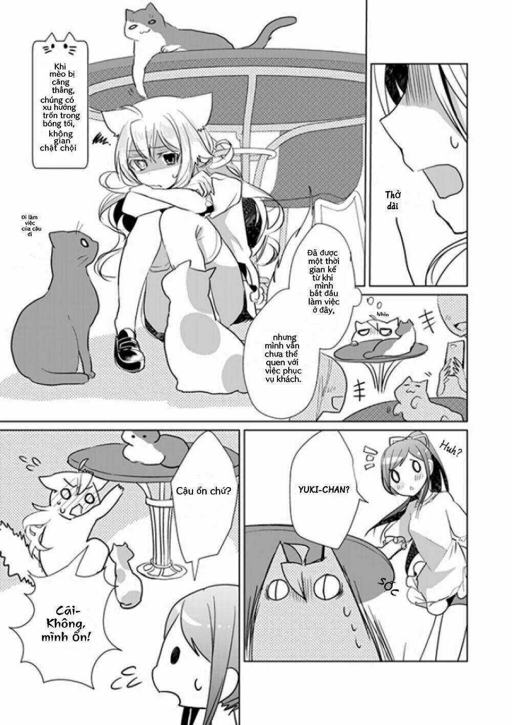 Catulus Syndrome Chapter 19 trang 2