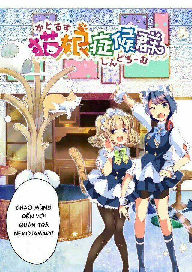 Catulus Syndrome Chapter 23 trang 3