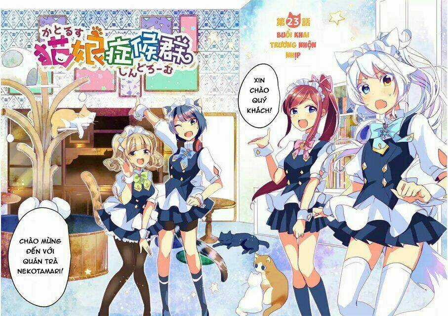 Catulus Syndrome Chapter 23 trang 4