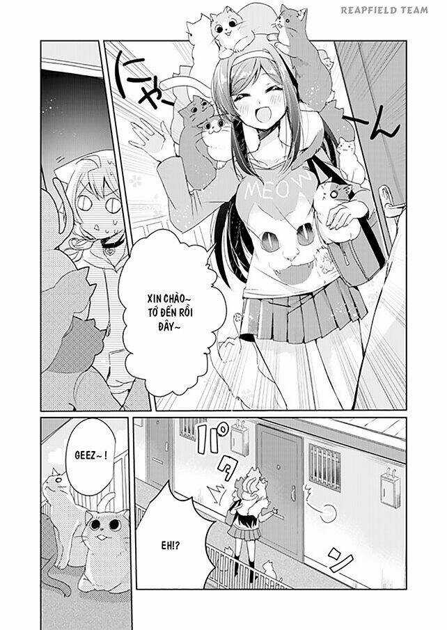 Catulus Syndrome Chapter 3 trang 5