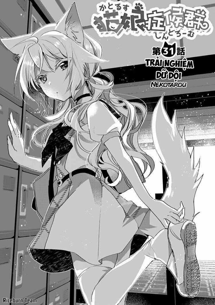 Catulus Syndrome Chapter 31 trang 1