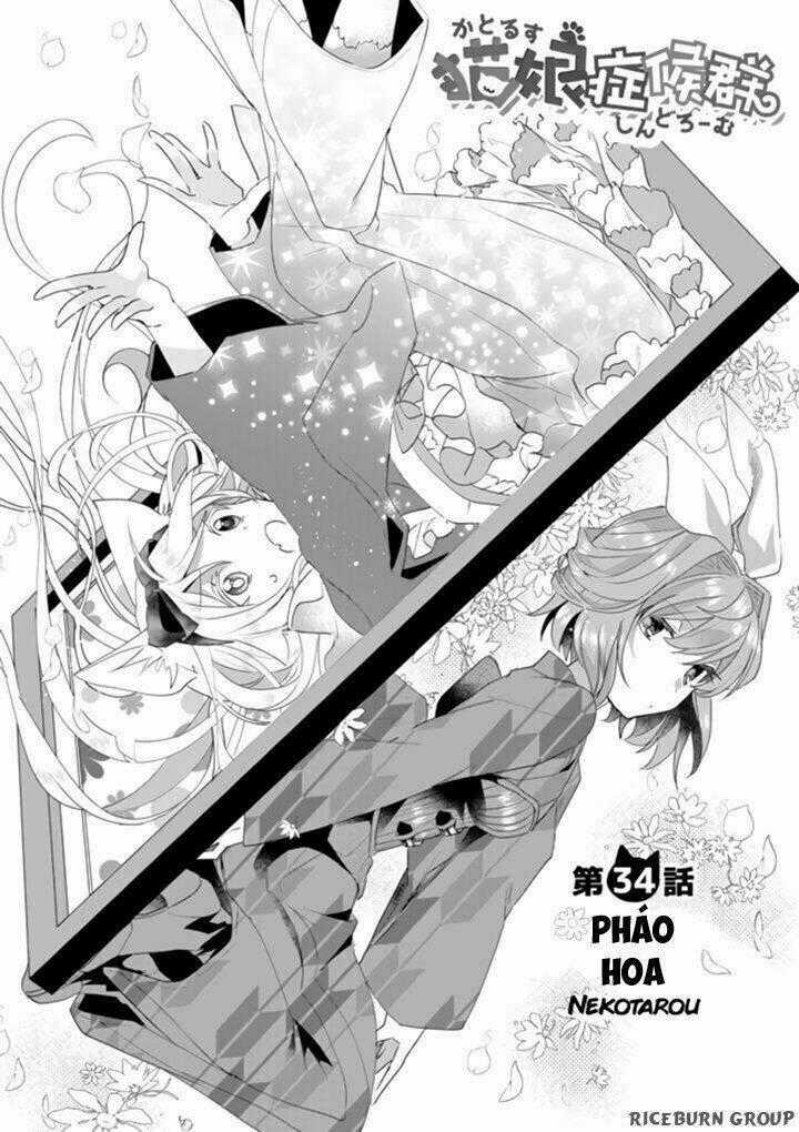 Catulus Syndrome Chapter 34 trang 1
