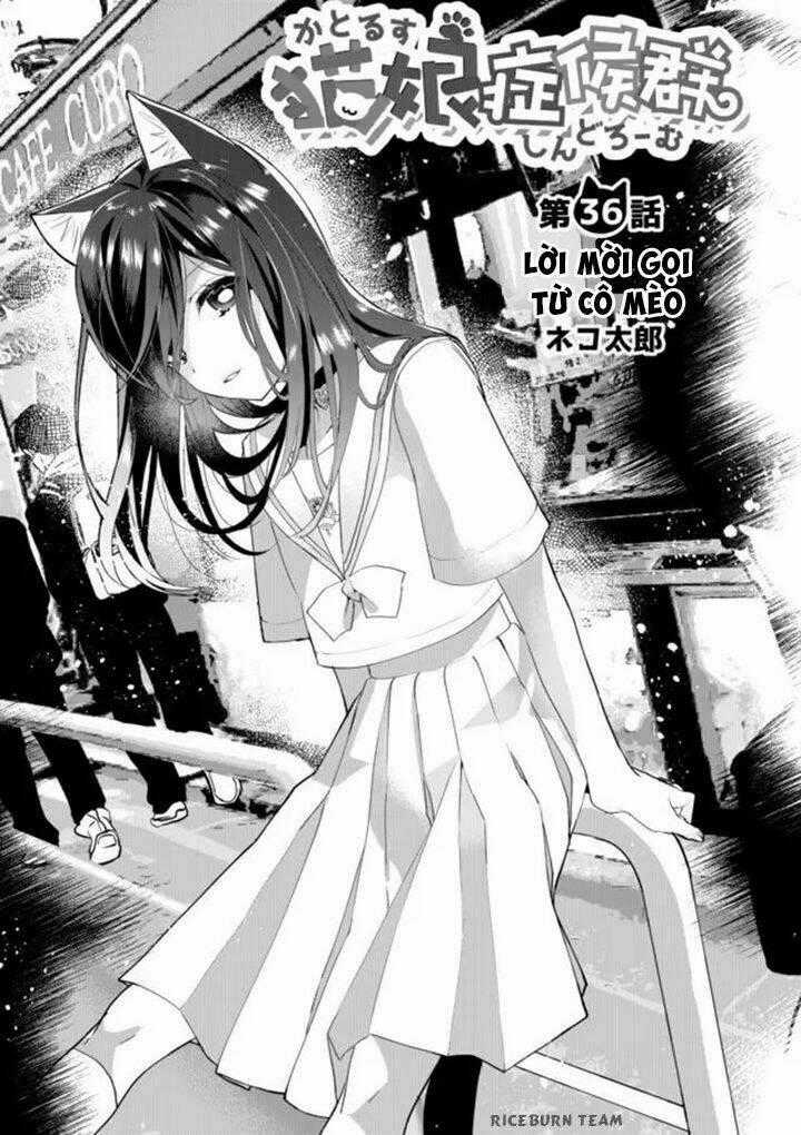 Catulus Syndrome Chapter 36 trang 1