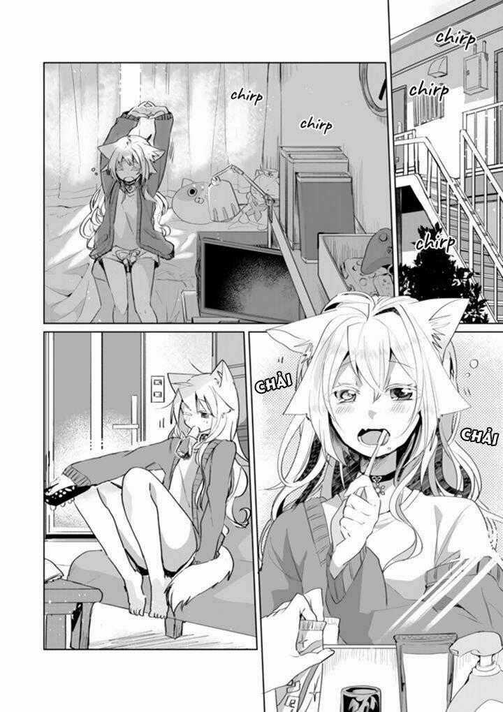 Catulus Syndrome Chapter 37 trang 1