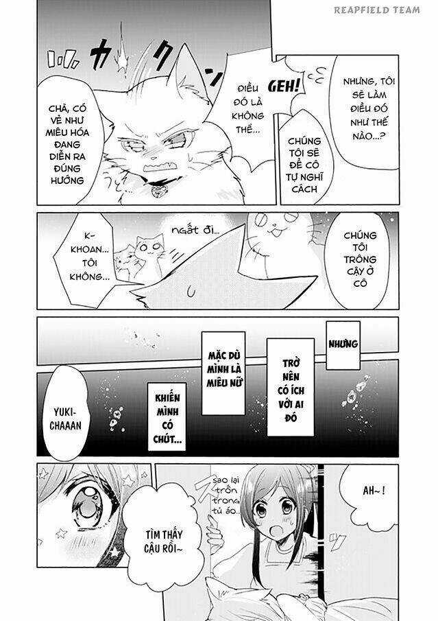 Catulus Syndrome Chapter 4 trang 11