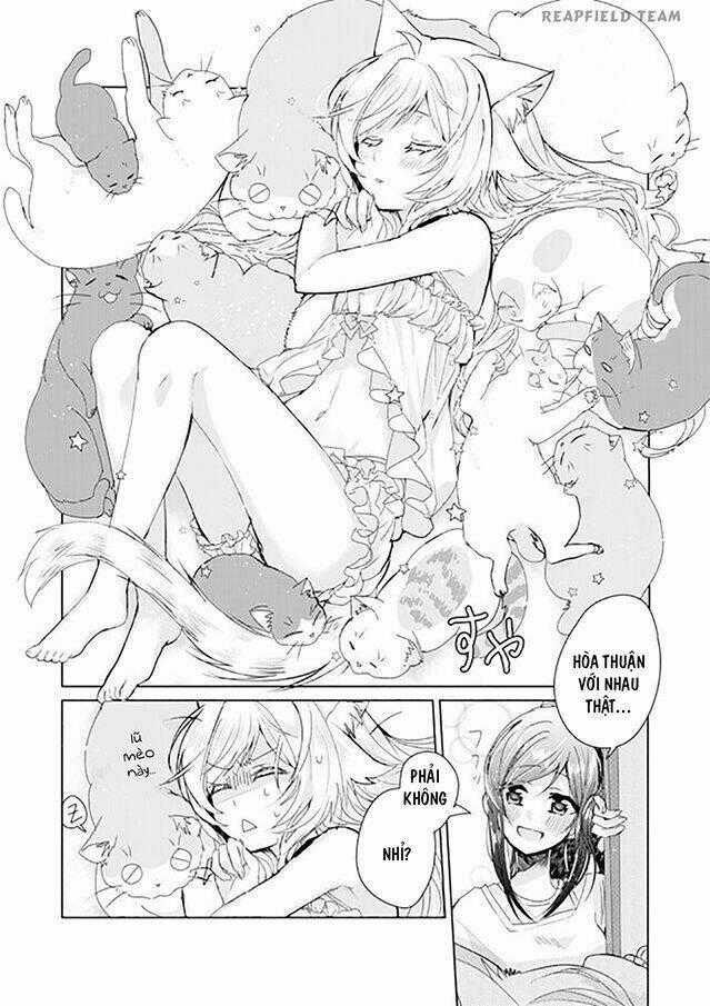 Catulus Syndrome Chapter 4 trang 12