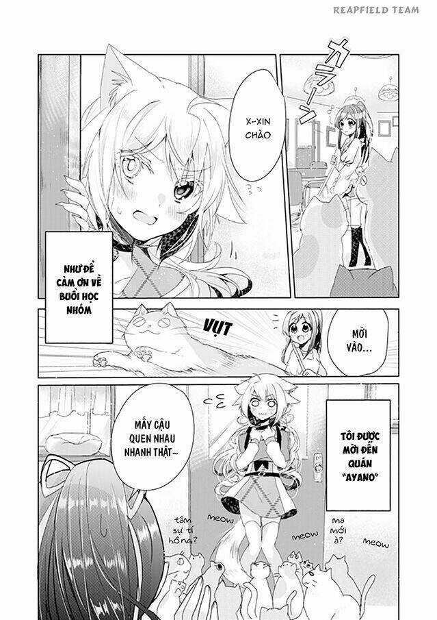 Catulus Syndrome Chapter 4 trang 2