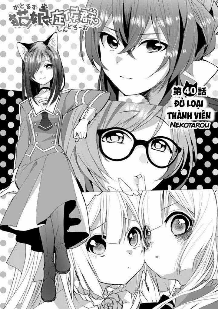 Catulus Syndrome Chapter 40 trang 1