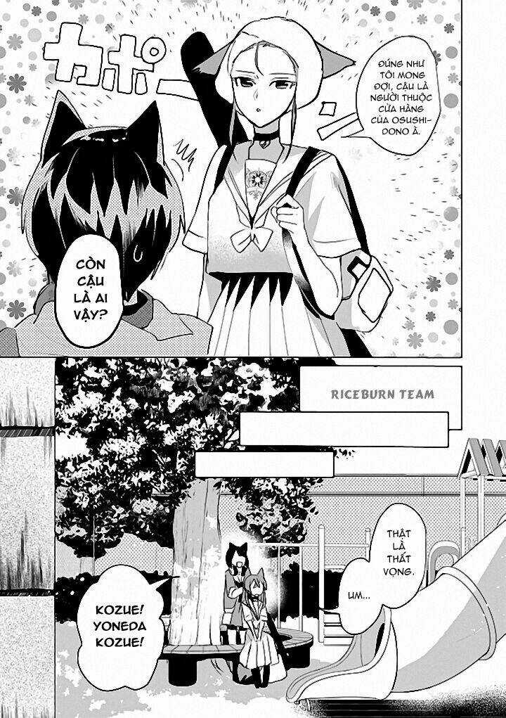 Catulus Syndrome Chapter 43 trang 3