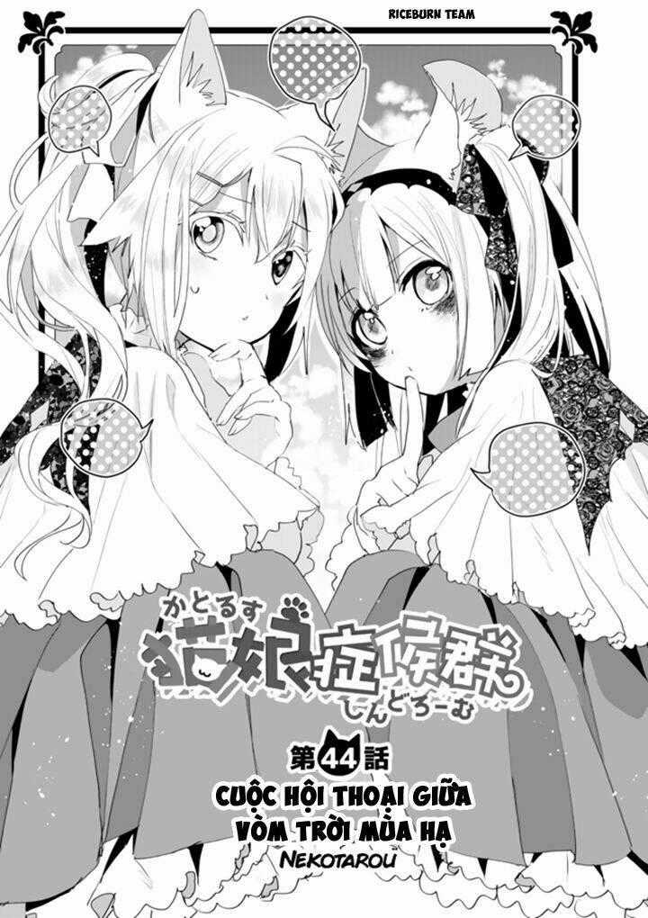 Catulus Syndrome Chapter 44 trang 1