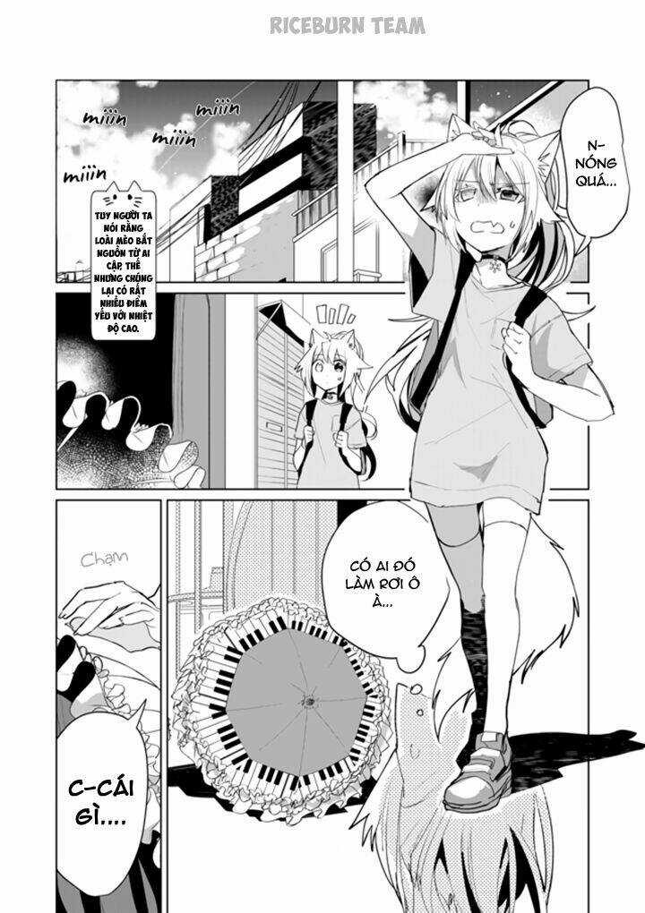 Catulus Syndrome Chapter 44 trang 2