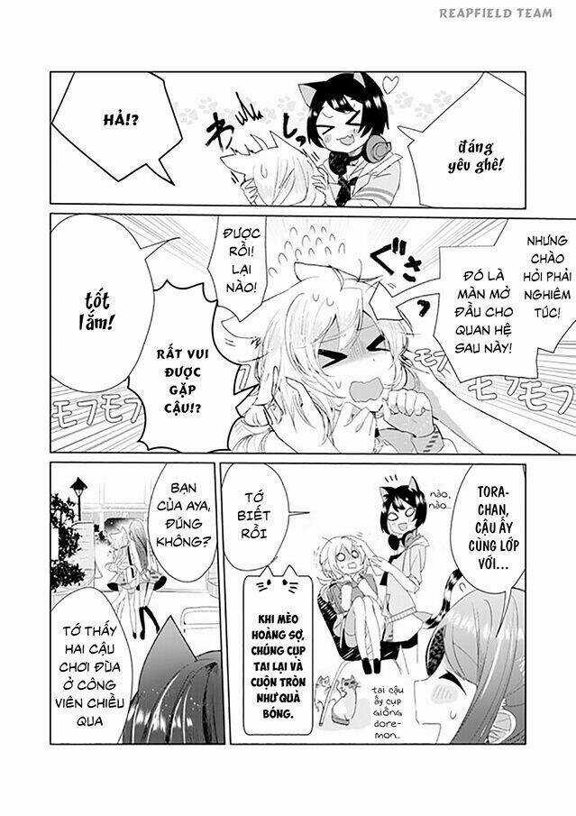 Catulus Syndrome Chapter 6 trang 6