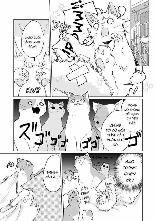 Catulus Syndrome Chapter 71 trang 3