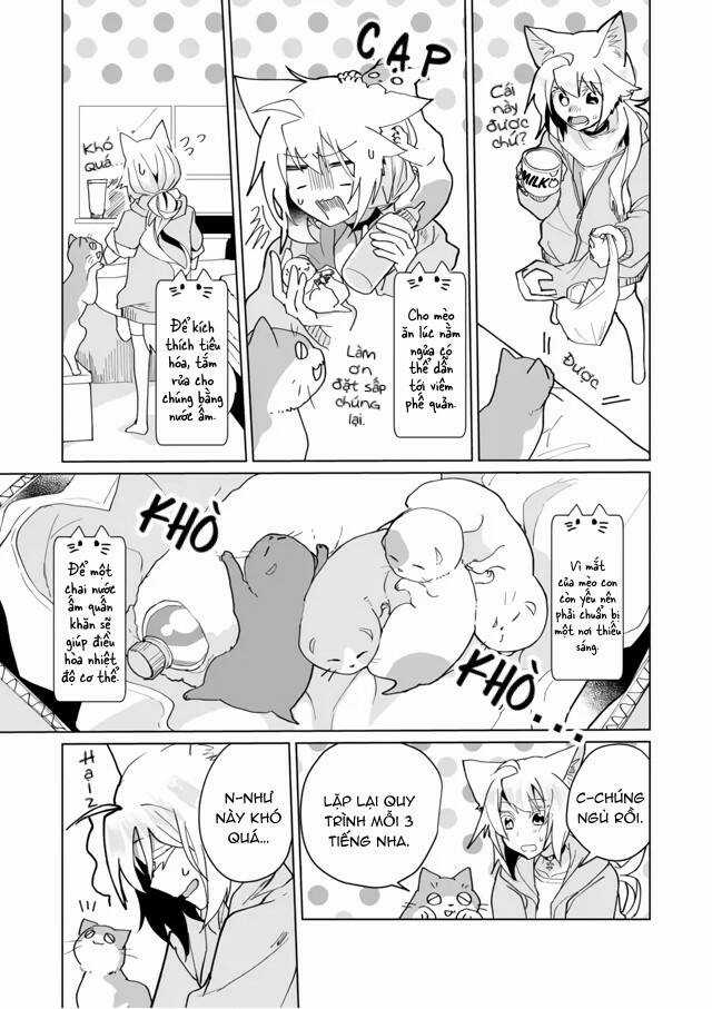 Catulus Syndrome Chapter 71 trang 9