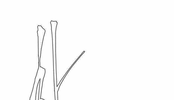 Cậu Bé Của Thần Chết Chapter 3 trang 55