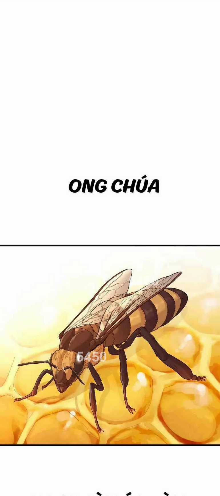 Cậu Bé Tội Phạm Chapter 52 trang 0