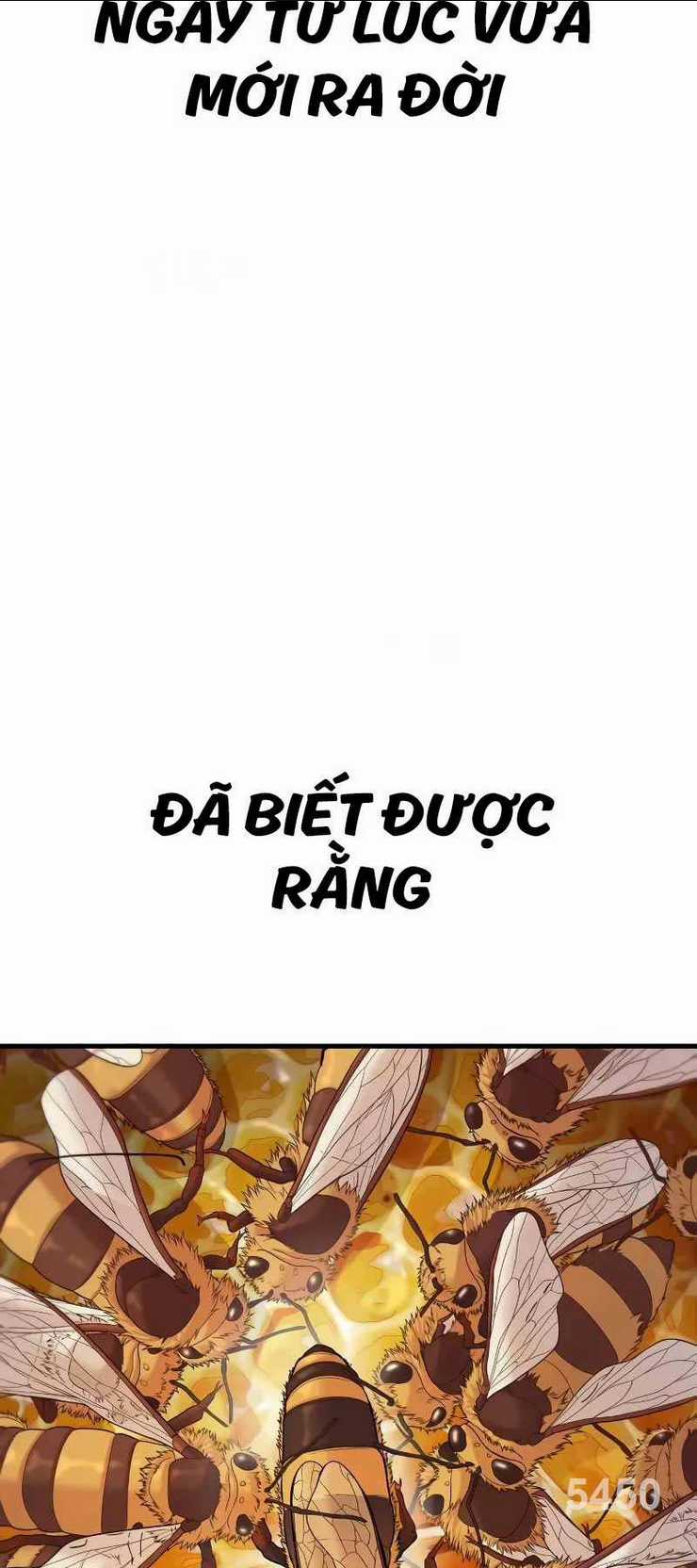 Cậu Bé Tội Phạm Chapter 52 trang 1
