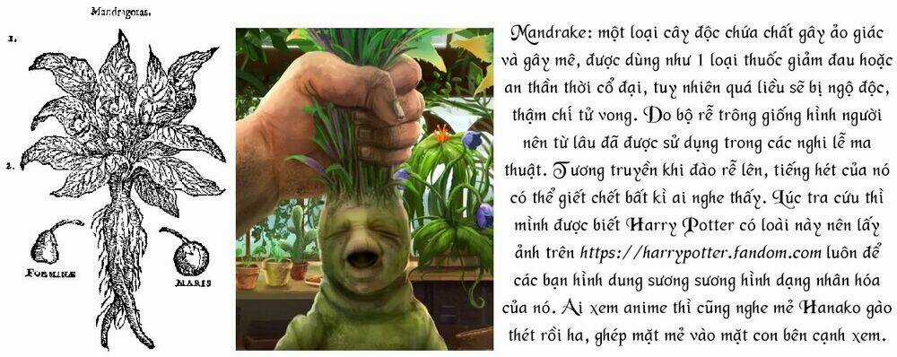 Câu Chuyện Cuộc Sống Học Đường Của 3 Cô Gái Chapter 10 trang 16