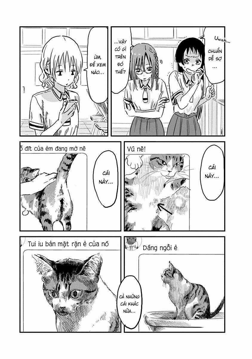 Câu Chuyện Cuộc Sống Học Đường Của 3 Cô Gái Chapter 71 trang 4