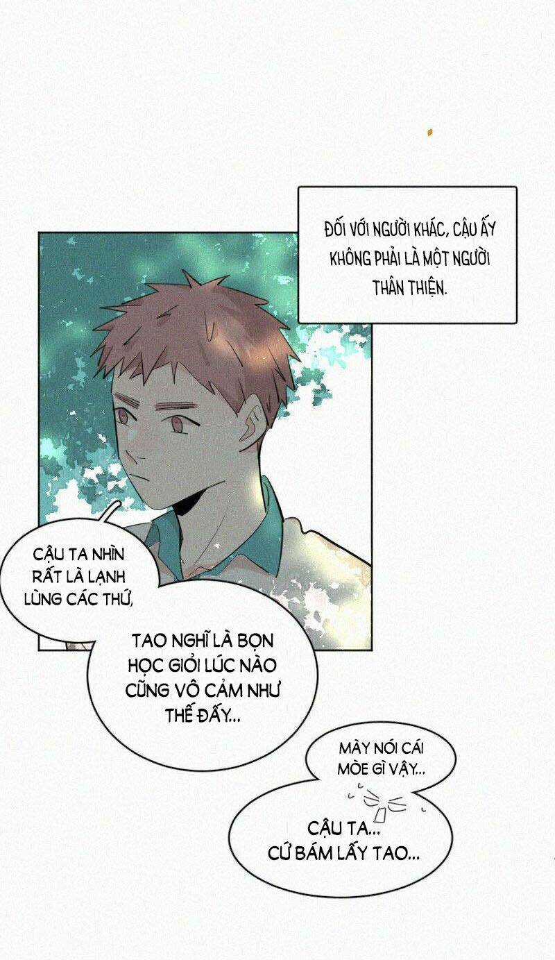 Câu Chuyện Về Cậu Và Tôi Chapter 44 trang 31