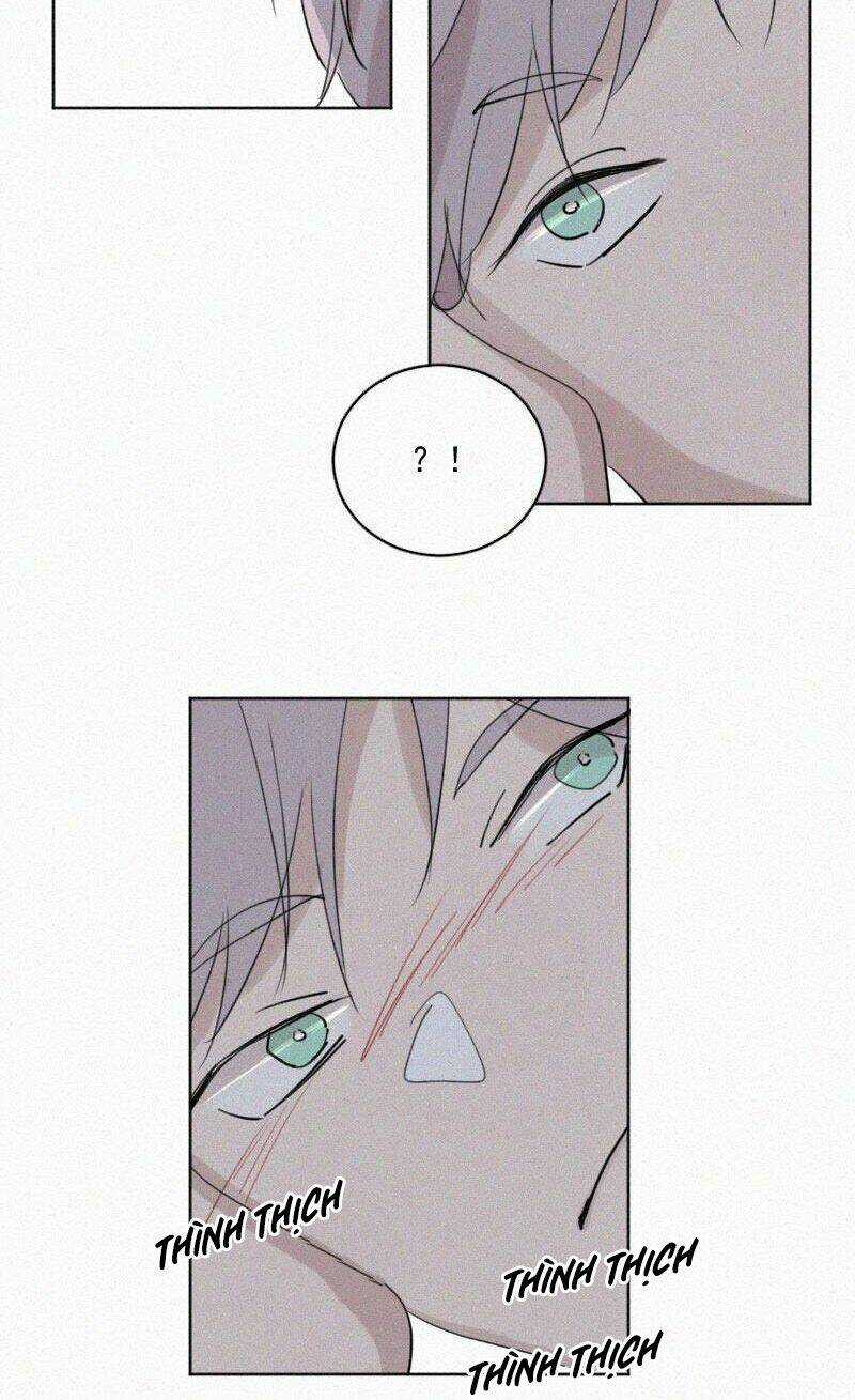 Câu Chuyện Về Cậu Và Tôi Chapter 50 trang 46