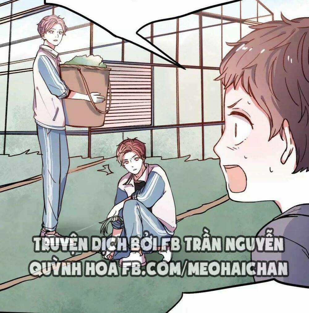 Cậu Đã Từng Yêu Tôi Chapter 13 trang 29