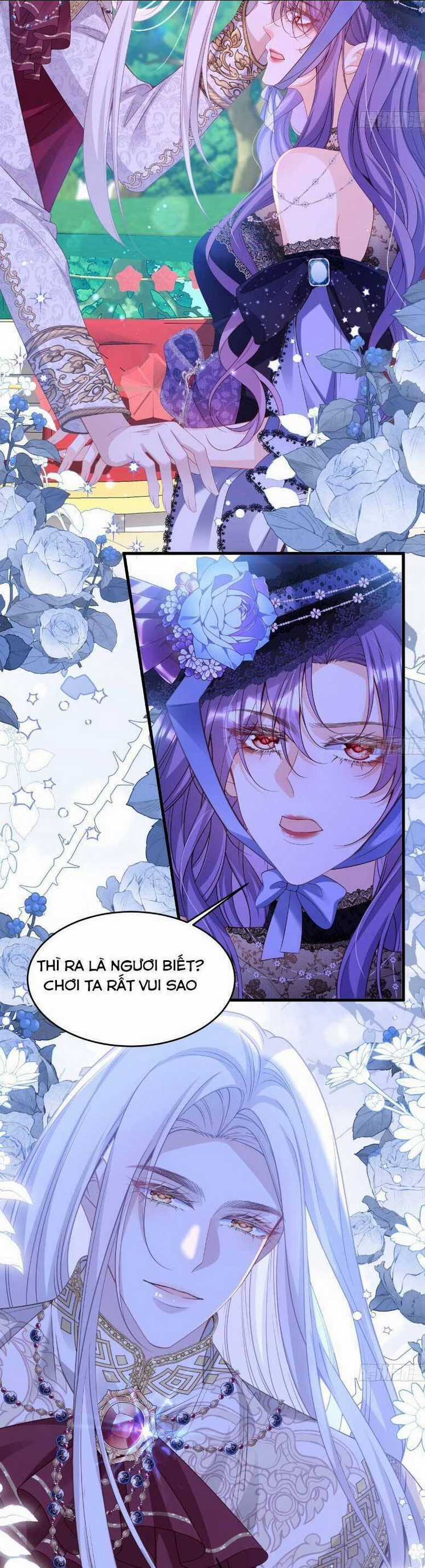 Cầu Hôn Giáo Hoàng Chapter 10 trang 7