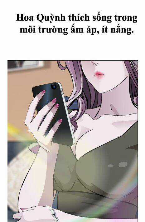 Câu Lạc Bộ Ngoại Tình 2 Chapter 1 trang 24