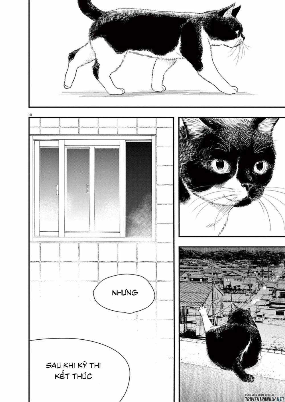 Câu Lạc Bộ Những Kẻ Mất Ngủ Chapter 112 trang 10