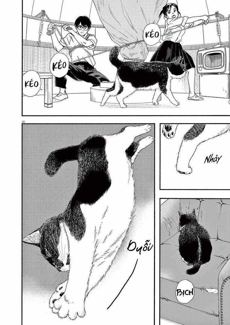 Câu Lạc Bộ Những Kẻ Mất Ngủ Chapter 72 trang 10