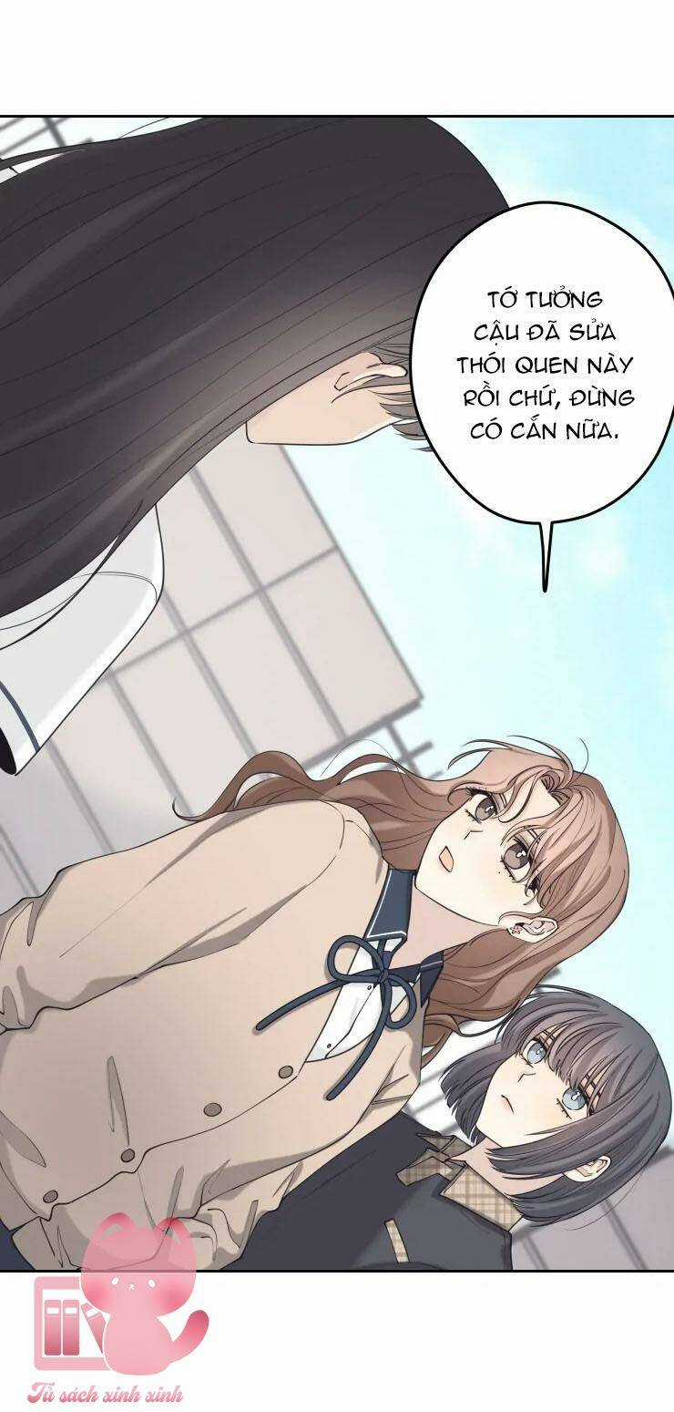 Cậu Nói Thích Tớ Khi Nào Chứ! Chapter 13 trang 40