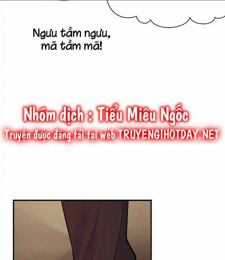 Câu Trả Lời Mùa Đông Chapter 45 trang 28