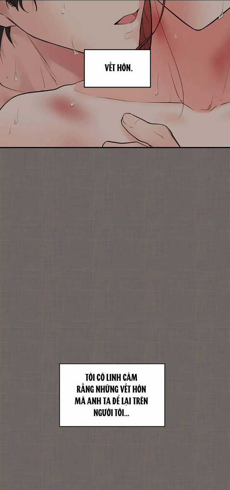 Câu Trả Lời Mùa Đông Chapter 5.1 trang 16