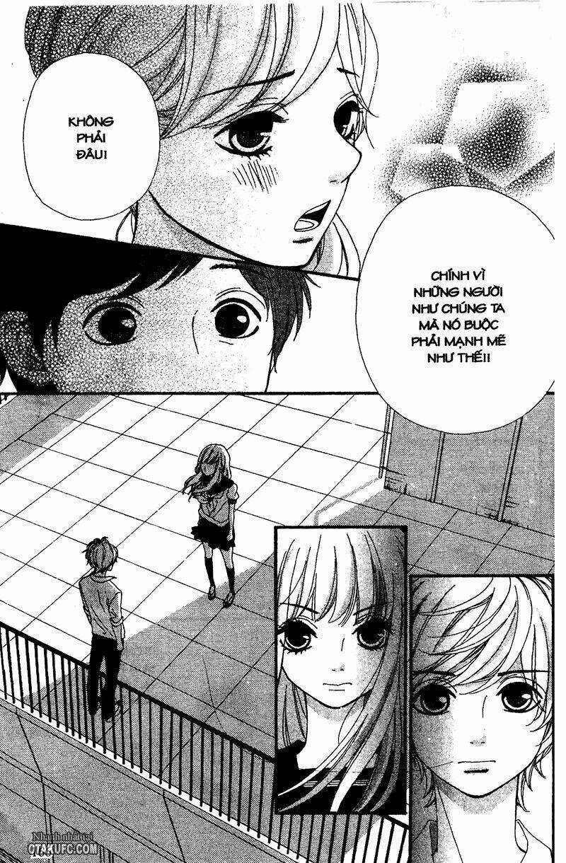 Cầu Vồng Tình Yêu Chapter 14 trang 24