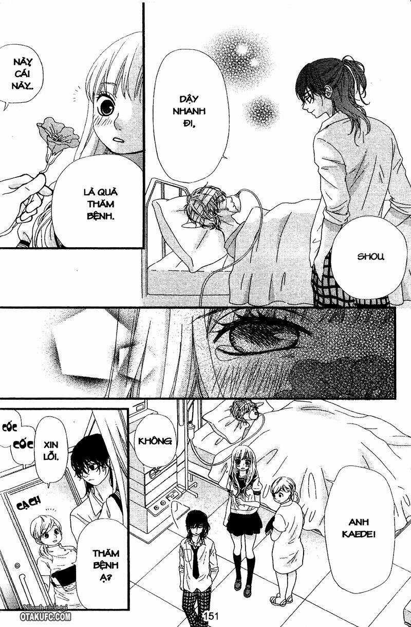 Cầu Vồng Tình Yêu Chapter 23 trang 11