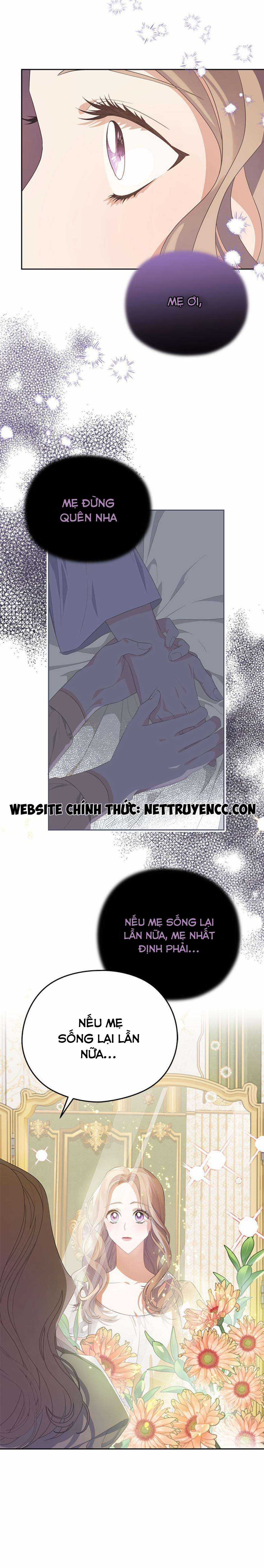 Cây Cúc Tây Thân Yêu Của Tôi Chapter 1 trang 24