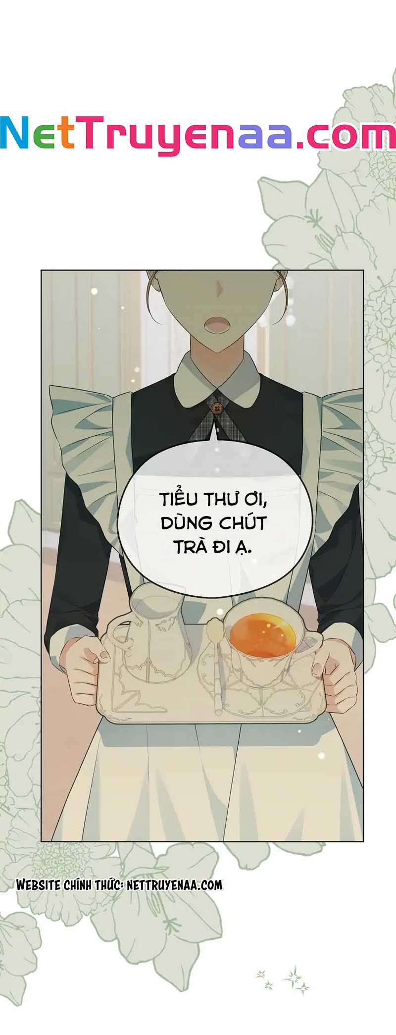 Cây Cúc Tây Thân Yêu Của Tôi Chapter 24 trang 0