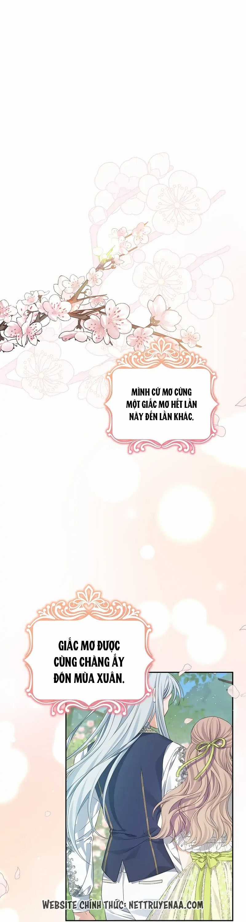 Cây Cúc Tây Thân Yêu Của Tôi Chapter 29 trang 0
