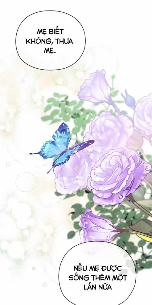 Cây Cúc Tây Thân Yêu Của Tôi Chapter 3 trang 101