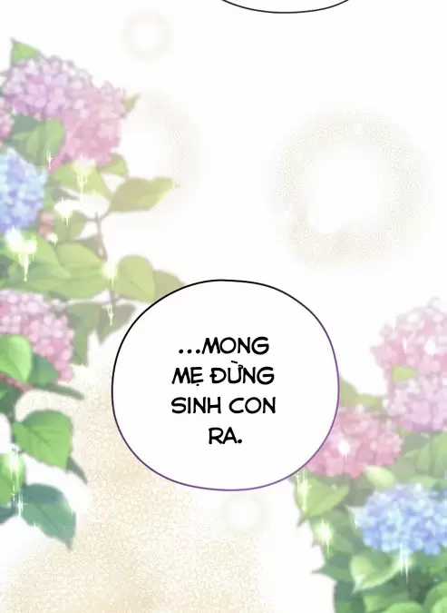 Cây Cúc Tây Thân Yêu Của Tôi Chapter 3 trang 102