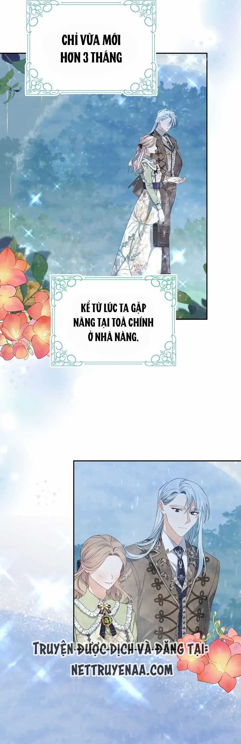 Cây Cúc Tây Thân Yêu Của Tôi Chapter 32 trang 1