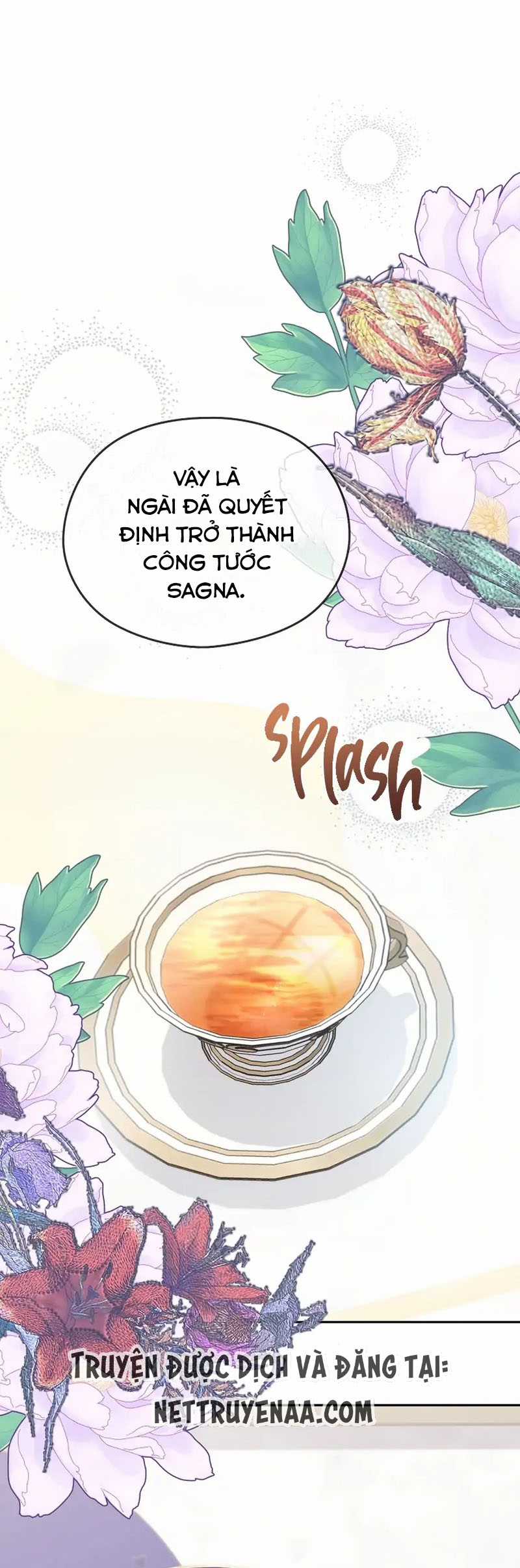 Cây Cúc Tây Thân Yêu Của Tôi Chapter 33 trang 0