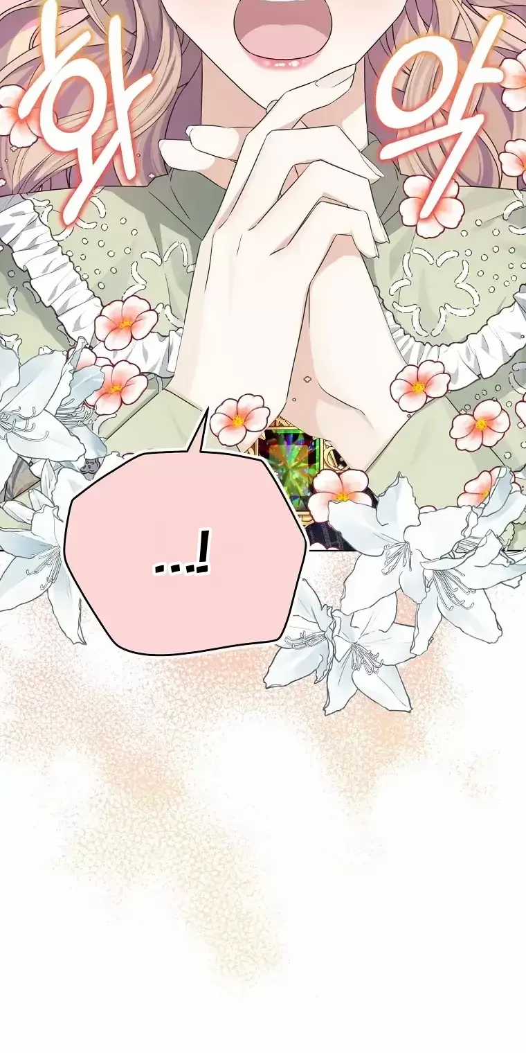 Cây Cúc Tây Thân Yêu Của Tôi Chapter 4 trang 11