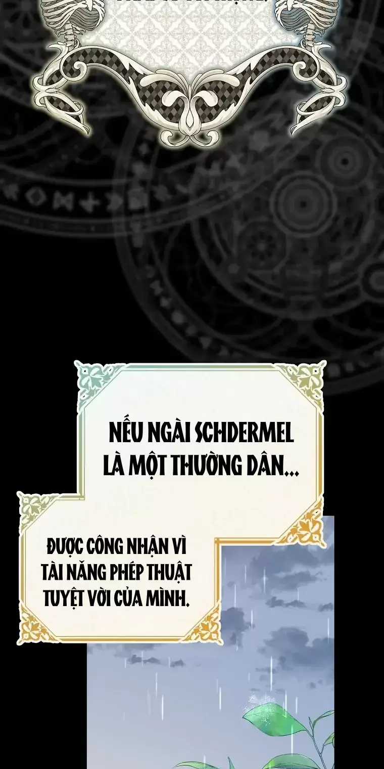 Cây Cúc Tây Thân Yêu Của Tôi Chapter 4 trang 23