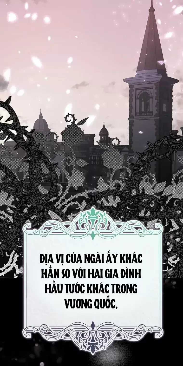 Cây Cúc Tây Thân Yêu Của Tôi Chapter 4 trang 30