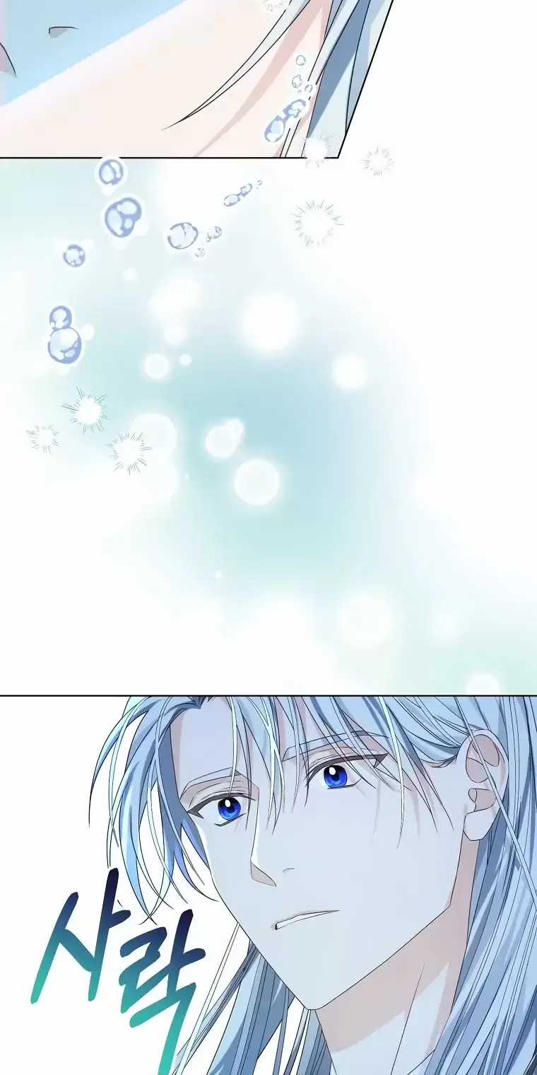 Cây Cúc Tây Thân Yêu Của Tôi Chapter 4 trang 4