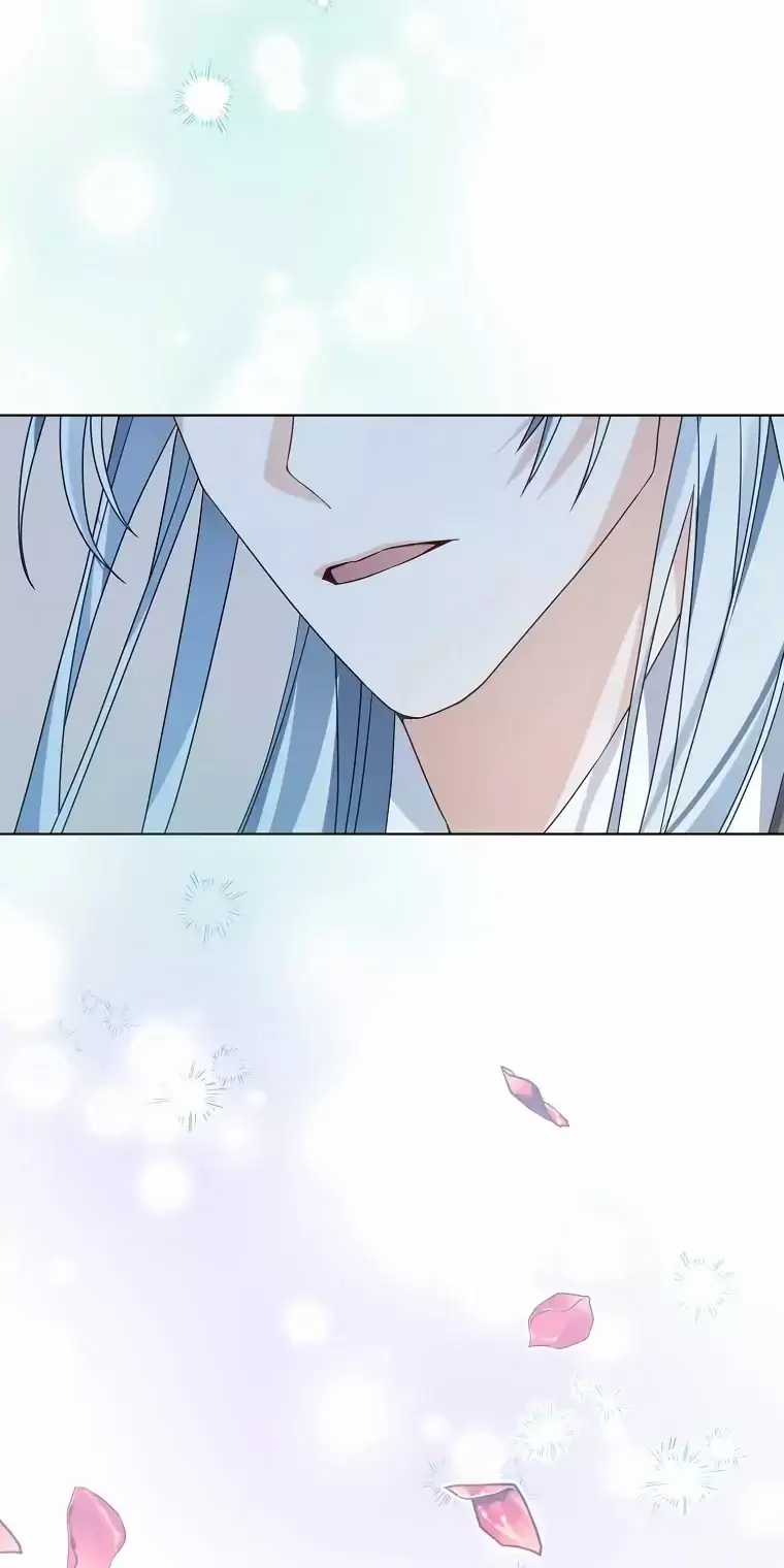 Cây Cúc Tây Thân Yêu Của Tôi Chapter 4 trang 7