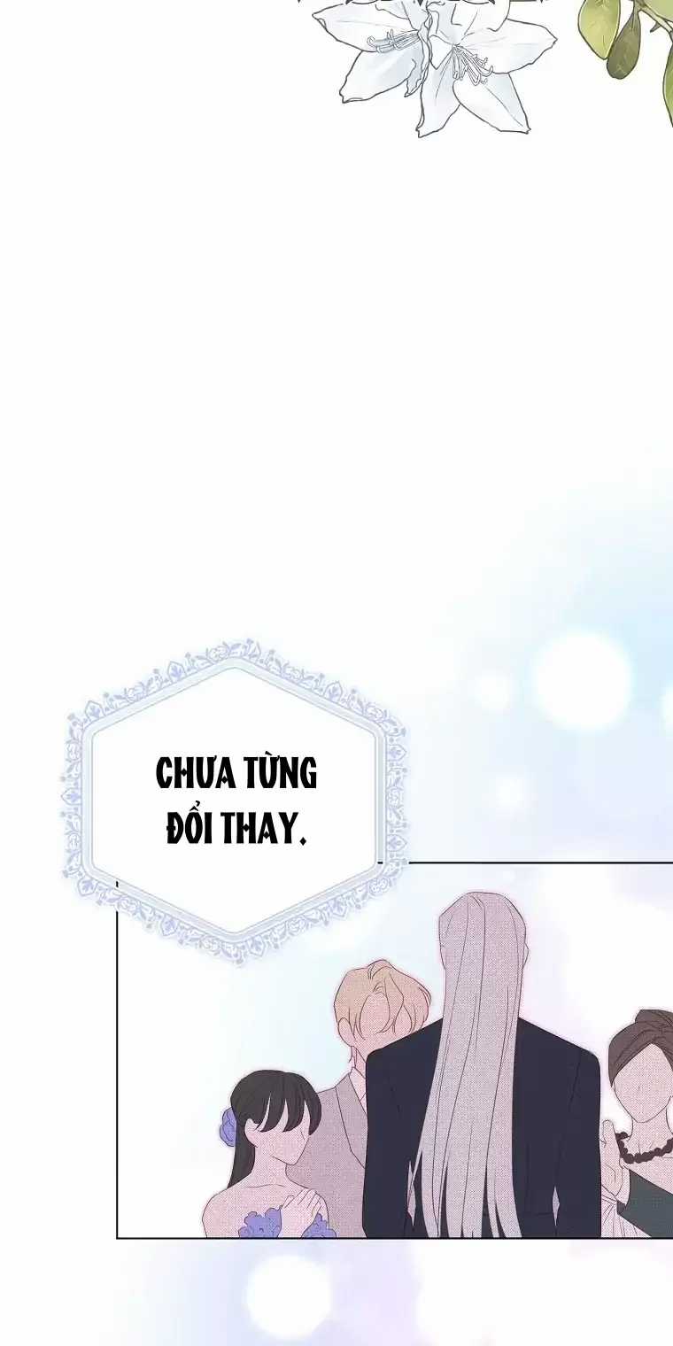 Cây Cúc Tây Thân Yêu Của Tôi Chapter 5 trang 154