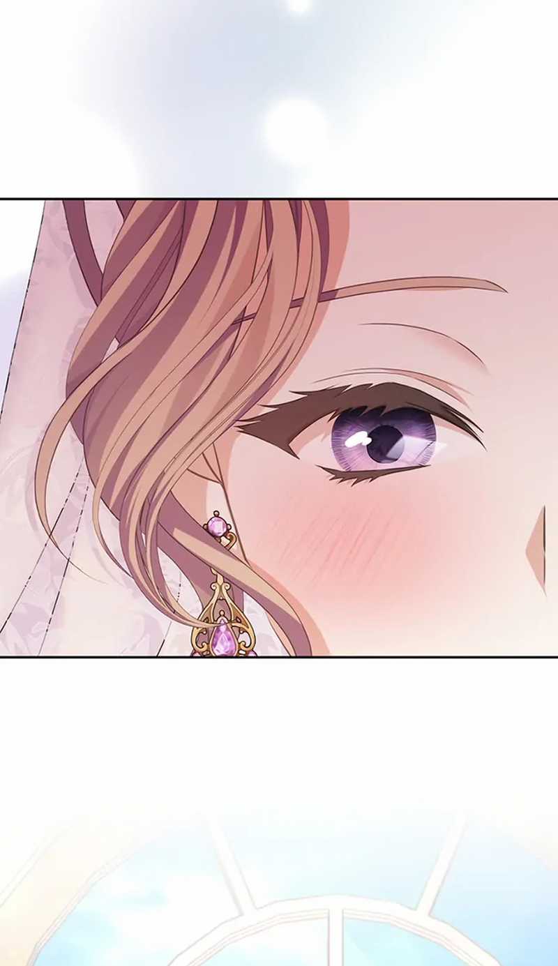 Cây Cúc Tây Thân Yêu Của Tôi Chapter 52 trang 29